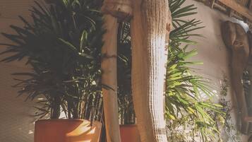 Teras/patio