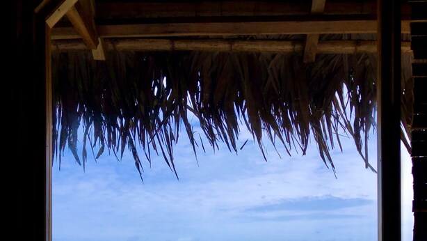 Vista de la playa desde una ventana con techo de paja, una estructura de madera y un camino bordeado de palmeras.