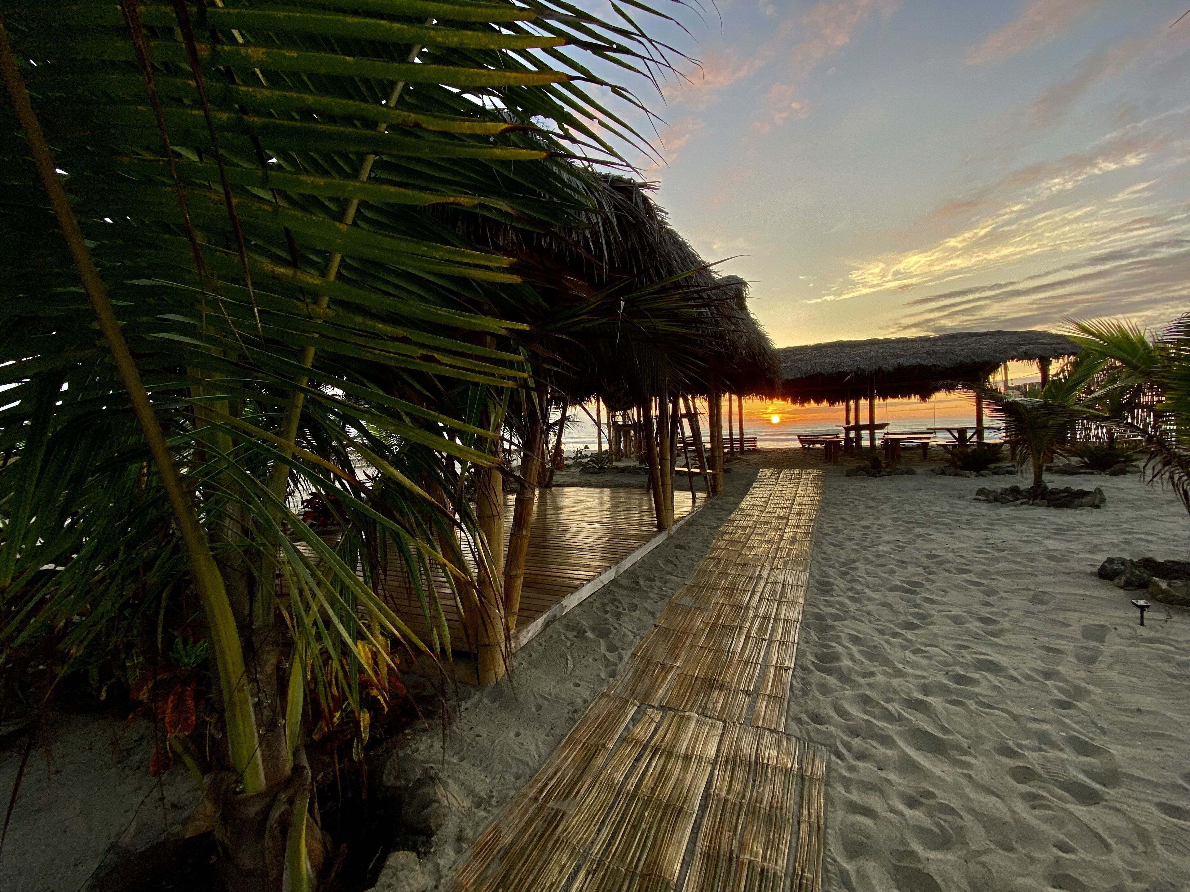 A beach walkway with thatched-roof structures and palm trees.