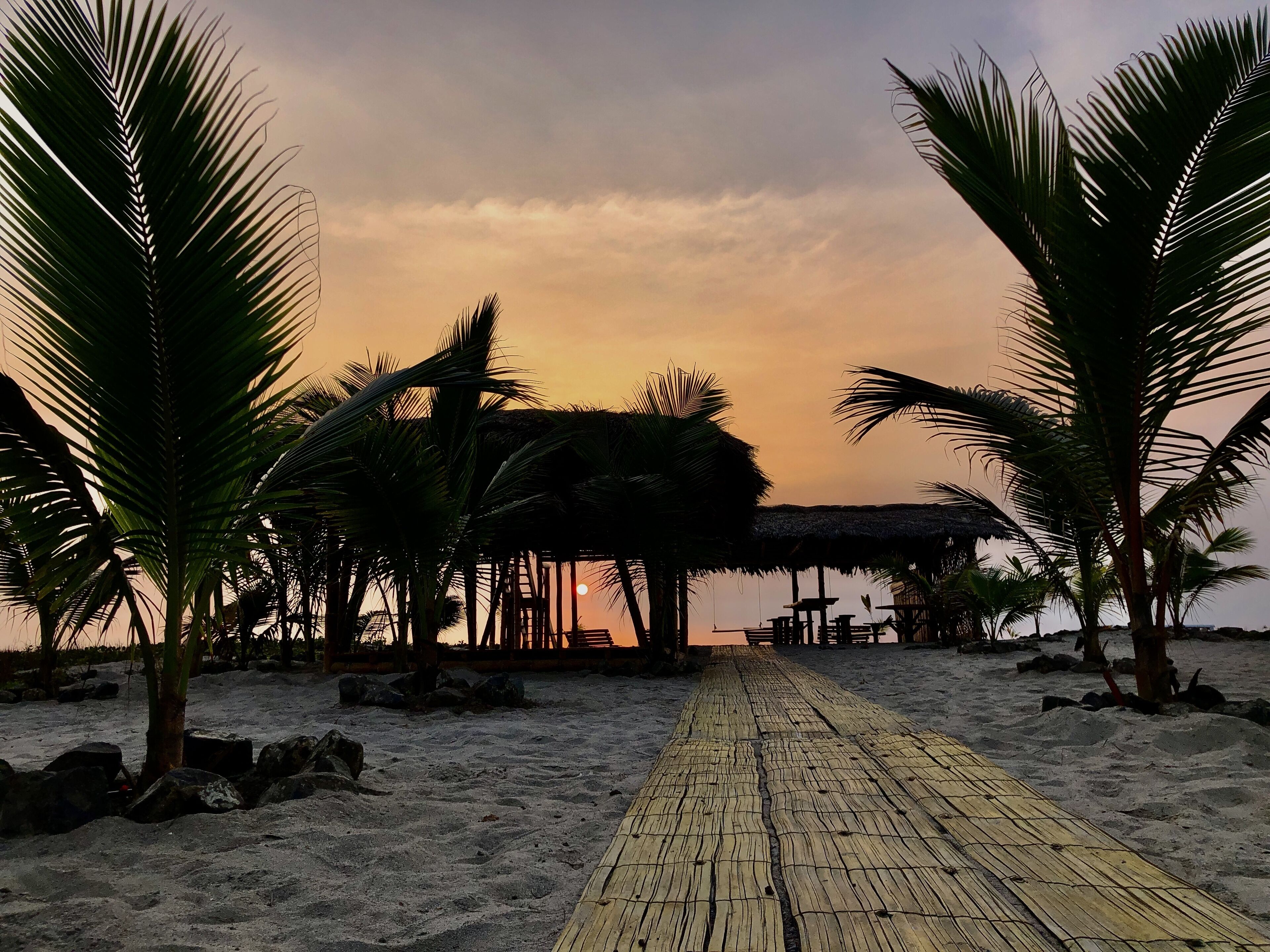 Una pasarela de madera que conduce a una zona de playa con palmeras y una estructura de techo de paja.