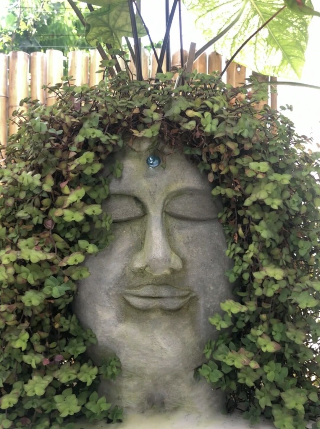 A stone sculpture partially covered by green foliage.