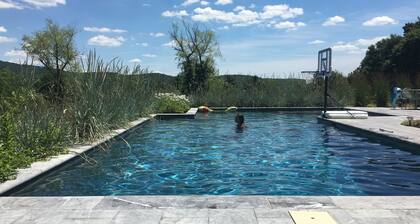 Beautiful and private modernist 3 bedroom home with gunite pool on 6 acres.