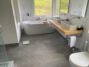 Shower, hair dryer, towels, soap