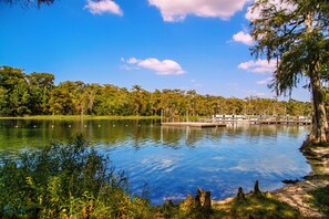 1 多间卧室、办公桌、熨斗/熨衣板、免费 WiFi