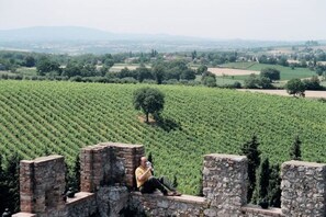 View from property - Three-person apartment in Monteriggioni - Beccatelli (Toscana)