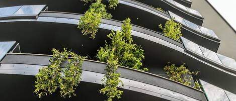 Un hotel moderno con un letrero que dice "BOLINA SUITE HOTEL" y balcones con plantas.