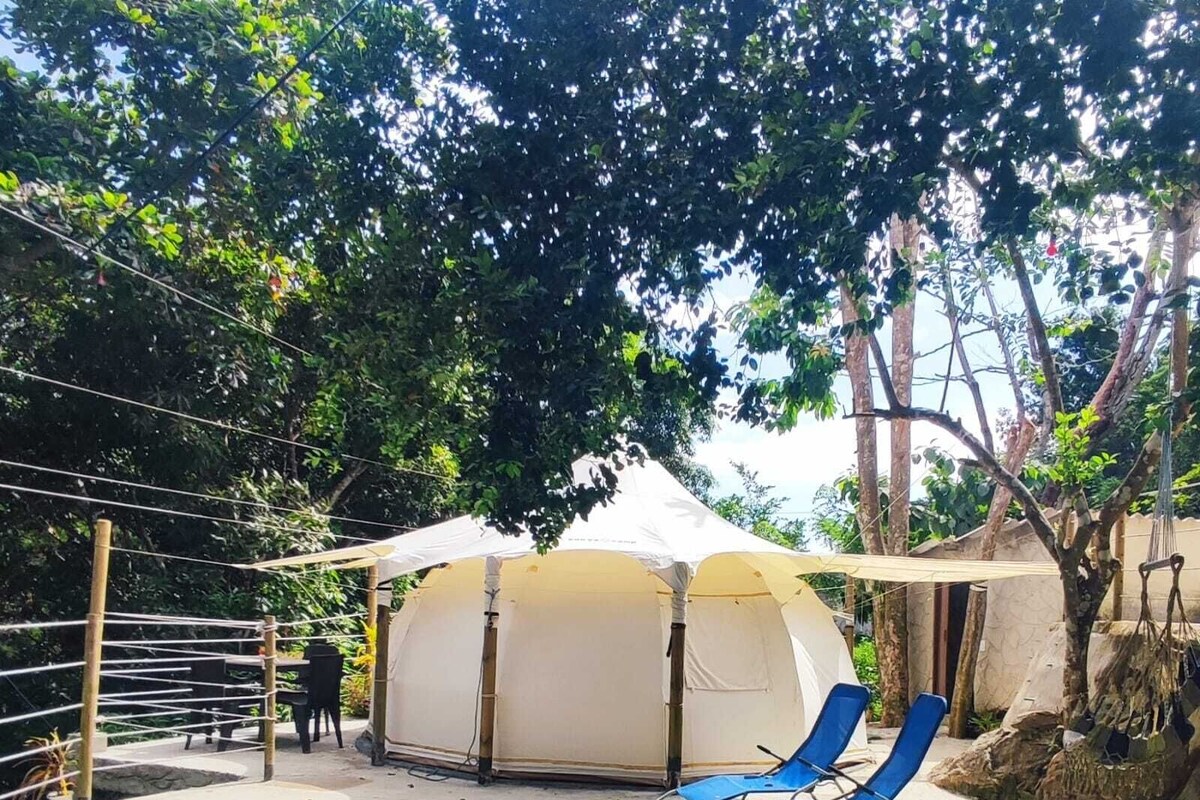 A swimming pool with lounge chairs, a covered seating area, and trees in the background.