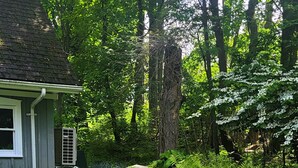 A serene garden with a small stream, lush greenery, and a house with a porch. - Royal Manor Inn (Niagara-on-the-Lake)