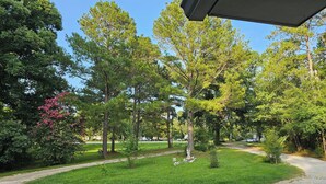 A landscaped area with a paved path, green grass, and various trees.