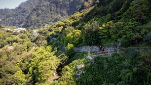A mountainous landscape with dense greenery and a few buildings nestled among the trees. - Mar Yam Garden by Atlantic Holiday (Santana)