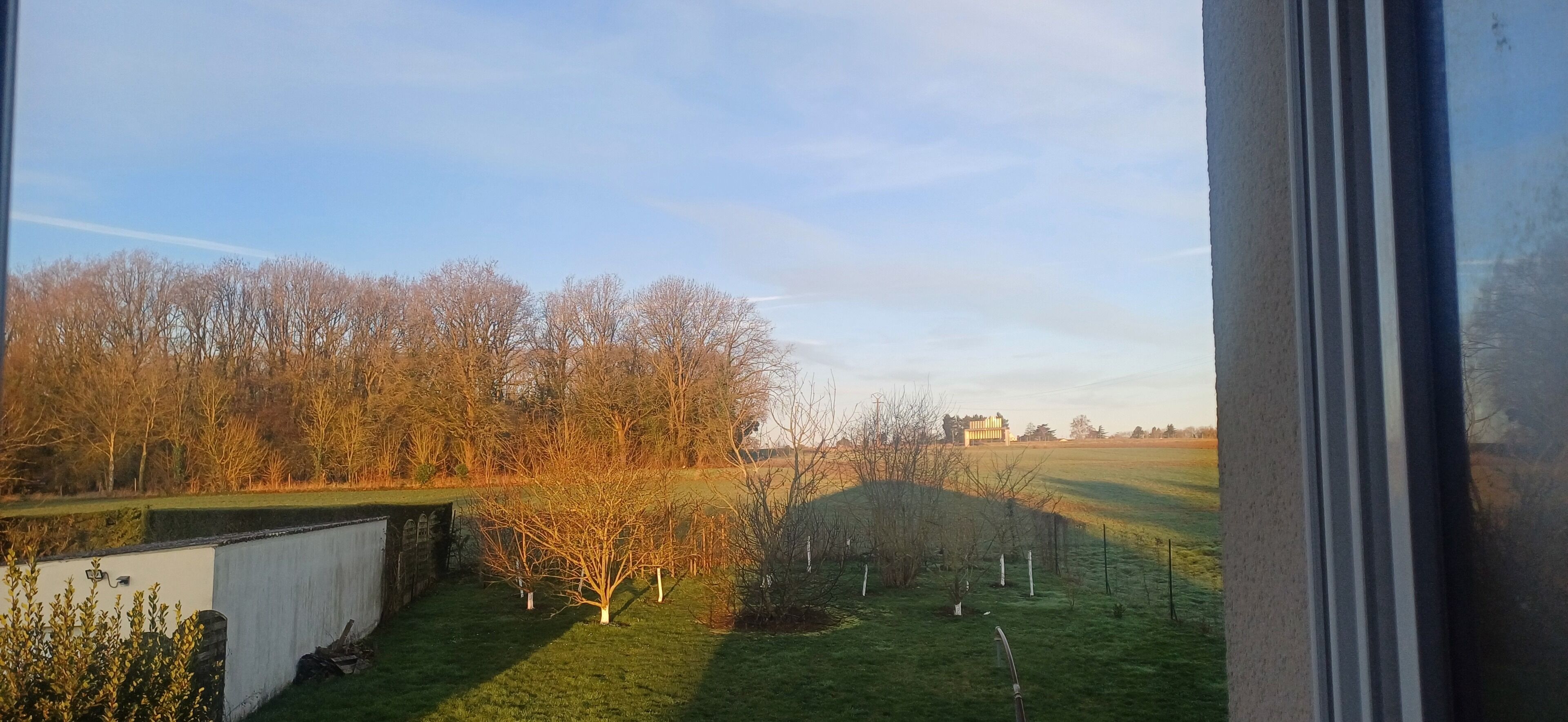 A view of a grassy field with trees and a building in the distance.