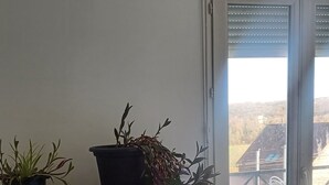A room with a wooden cabinet containing books, a potted plant, and a small shelf with a figurine. A large potted plant is near a sliding glass door leading to an outdoor area. - 2 BRIGHT ROOMS IN A HOMESTAY (Quincy-Voisins)