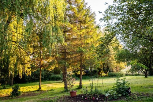 The Dove Inn Two-Bedroom Apartment