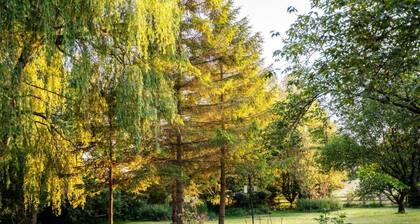 The Dove Inn Two-Bedroom Apartment