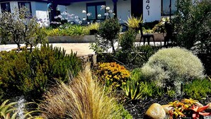 Ein modernes Haus mit Garten, der verschiedene Pflanzen und Blumen zeigt.