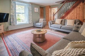 Tv, eldstad, dvd-spelare och böcker