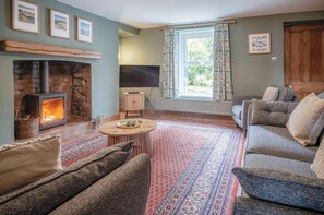 Télévision, cheminée, lecteur de DVD, livres