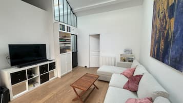 TV connectée, cheminée, lecteur de DVD, livres