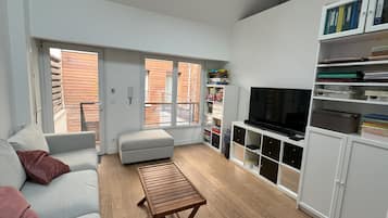 TV connectée, cheminée, lecteur de DVD, livres