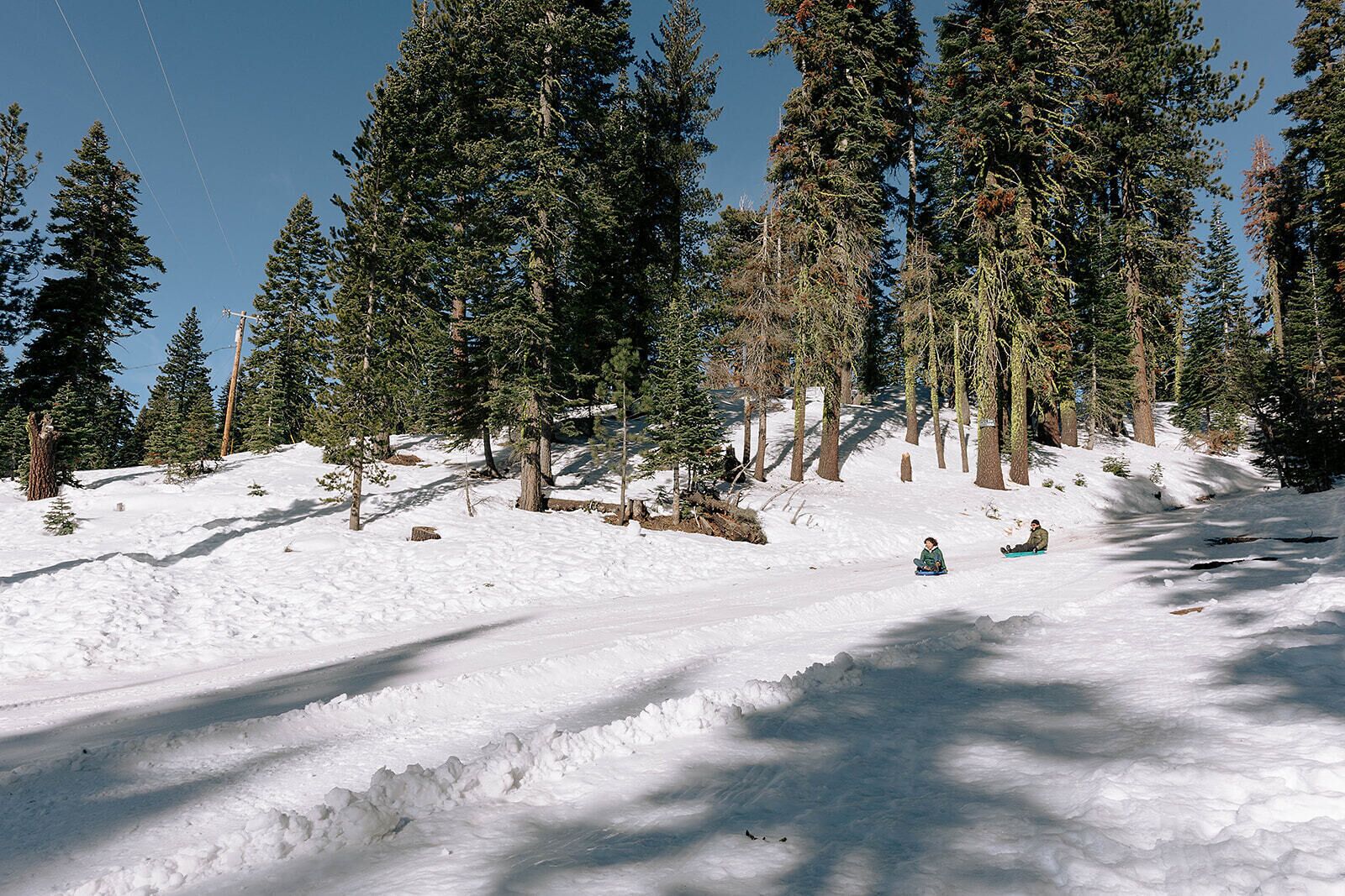 A snowy mountain slope with trees and a clear sky.