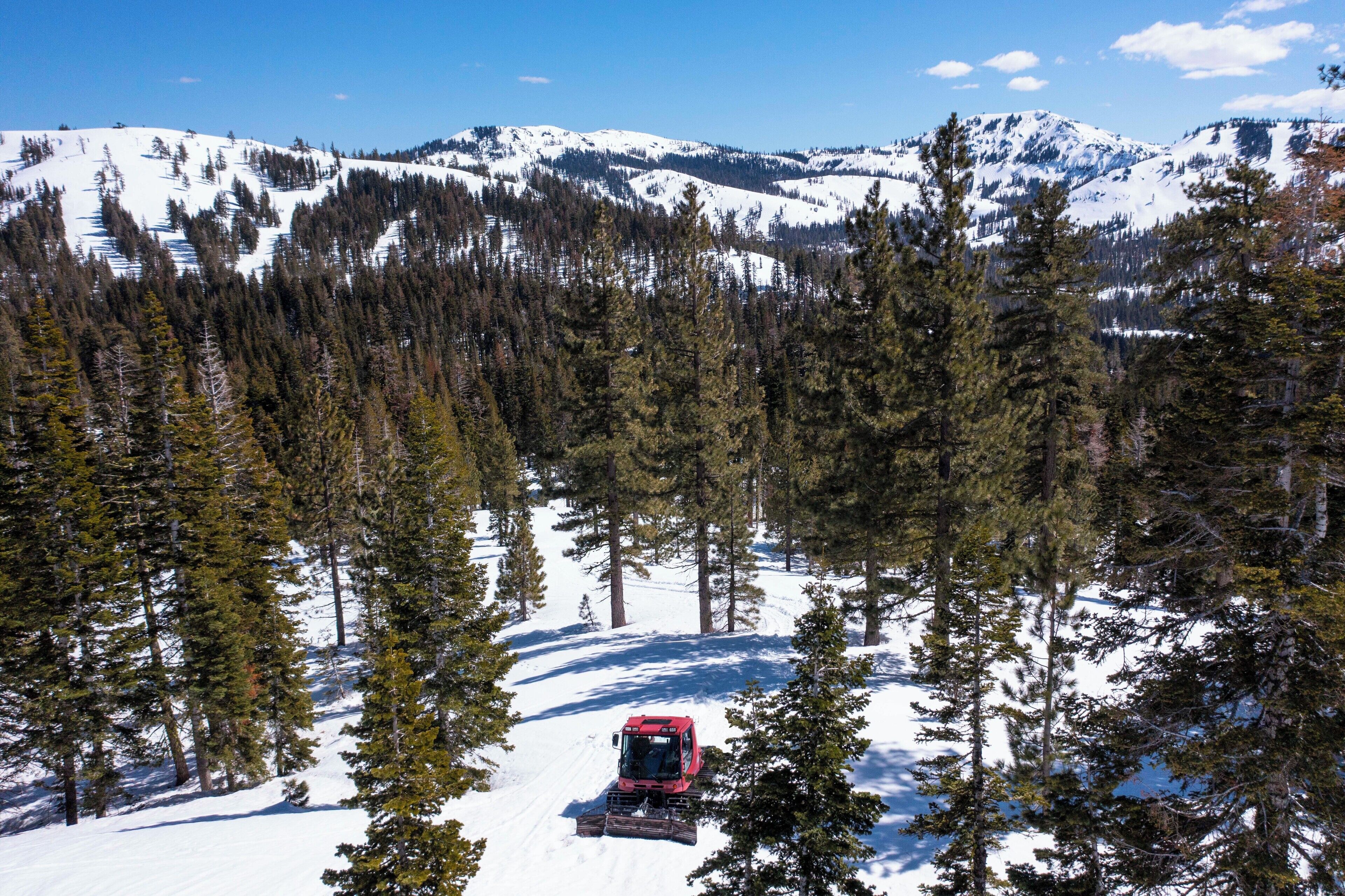 Un motonieve rojo en un sendero nevado en la montaña, rodeado de densos pinos.