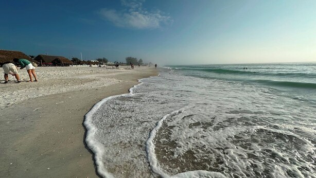 A beach with a sandy shore, waves gently lapping at the edge, and a clear sky.