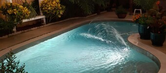 Botanical Garden Home-20 min to Disney, 10 Min to Downtown & 40 Min to the beach