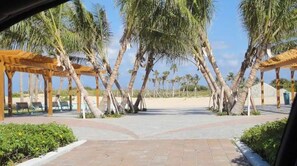 Une promenade en bord de mer, bordée de palmiers, agrémentée de pergolas en bois et de bancs.