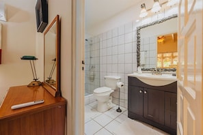 Shower, hair dryer