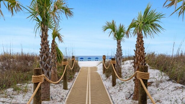 Ein Strandweg, gesäumt von Palmen und Seilen, der zum Meer führt.