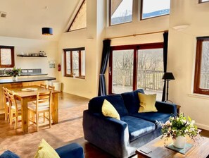 Älytelevisio, takka, DVD-soitin, kirjoja