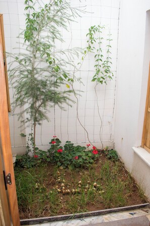 Superior-Zimmer | Terrasse/Patio