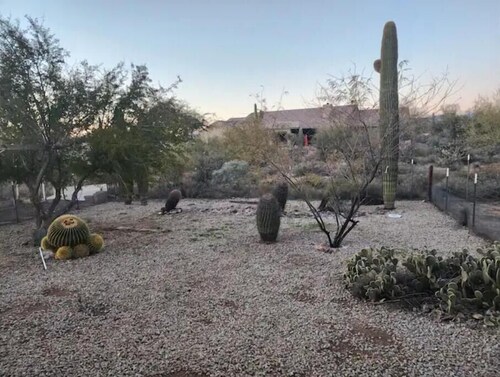 Cozy home in N. Scottsdale