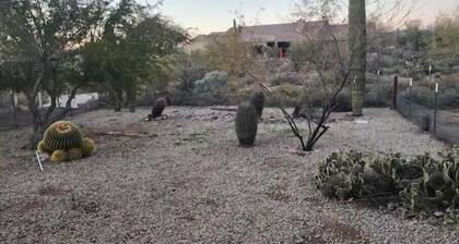 Cozy home in N. Scottsdale