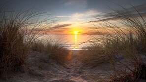 A beach path leading to the ocean with a sunset in the background. - Calypso Plaza Resort Unit 223 (Coolangatta)