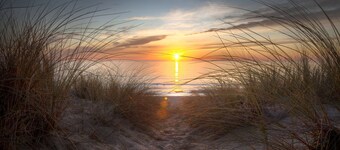 Calypso Plaza Resort Unit 223