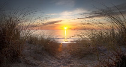 Calypso Plaza Resort Unit 223