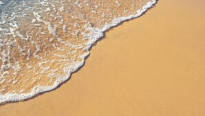 Une plage de sable fin où les vagues viennent doucement lécher le rivage.