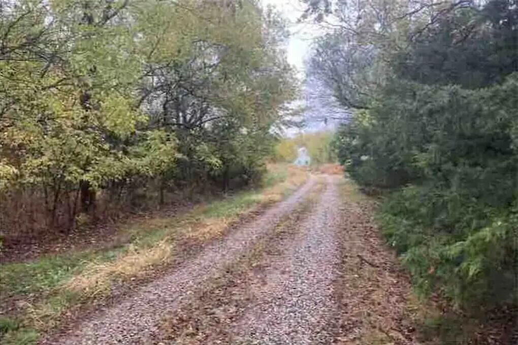 Un camí de grava envoltat de vegetació densa.