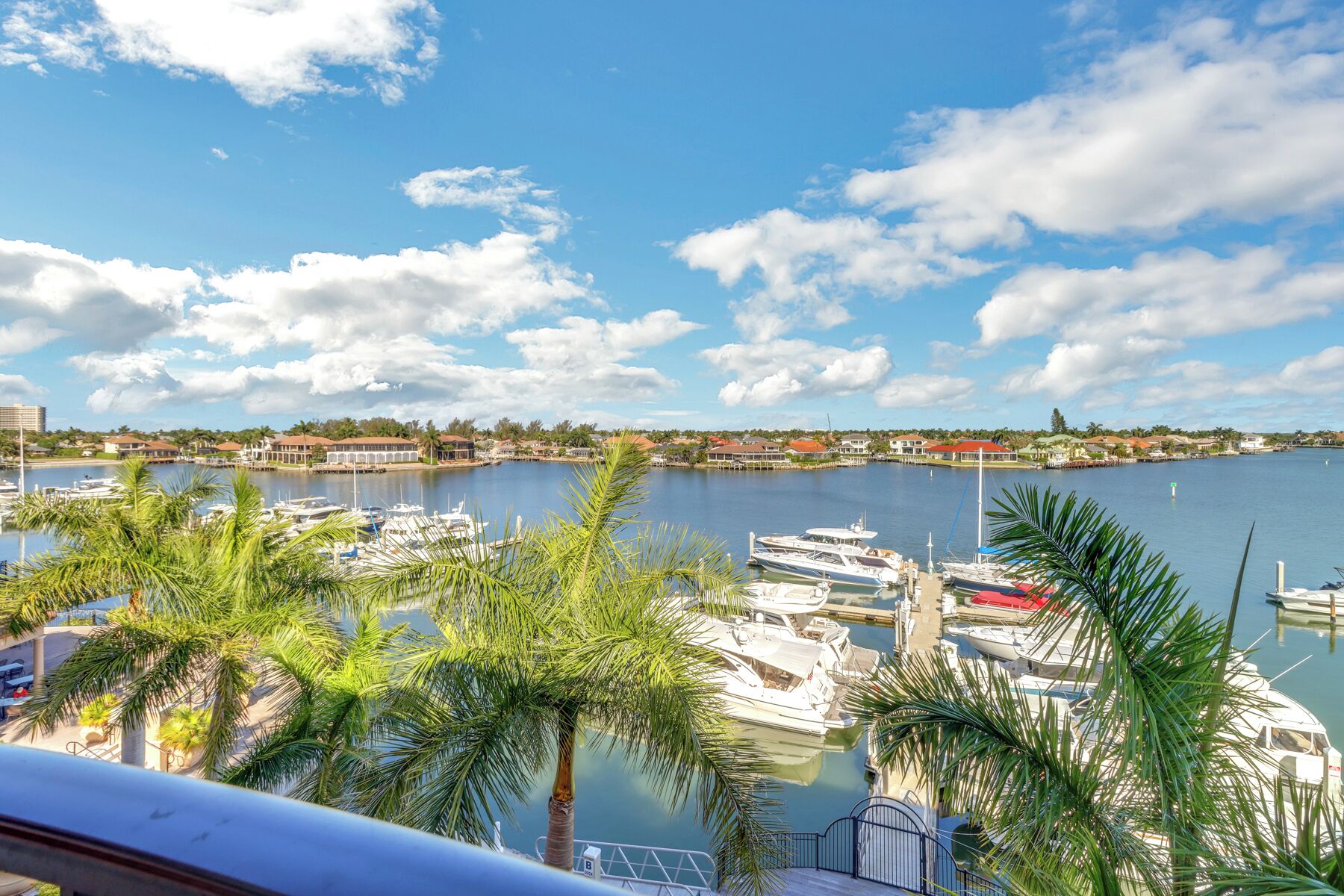 A marina with boats docked, surrounded by palm trees and buildings in the background.