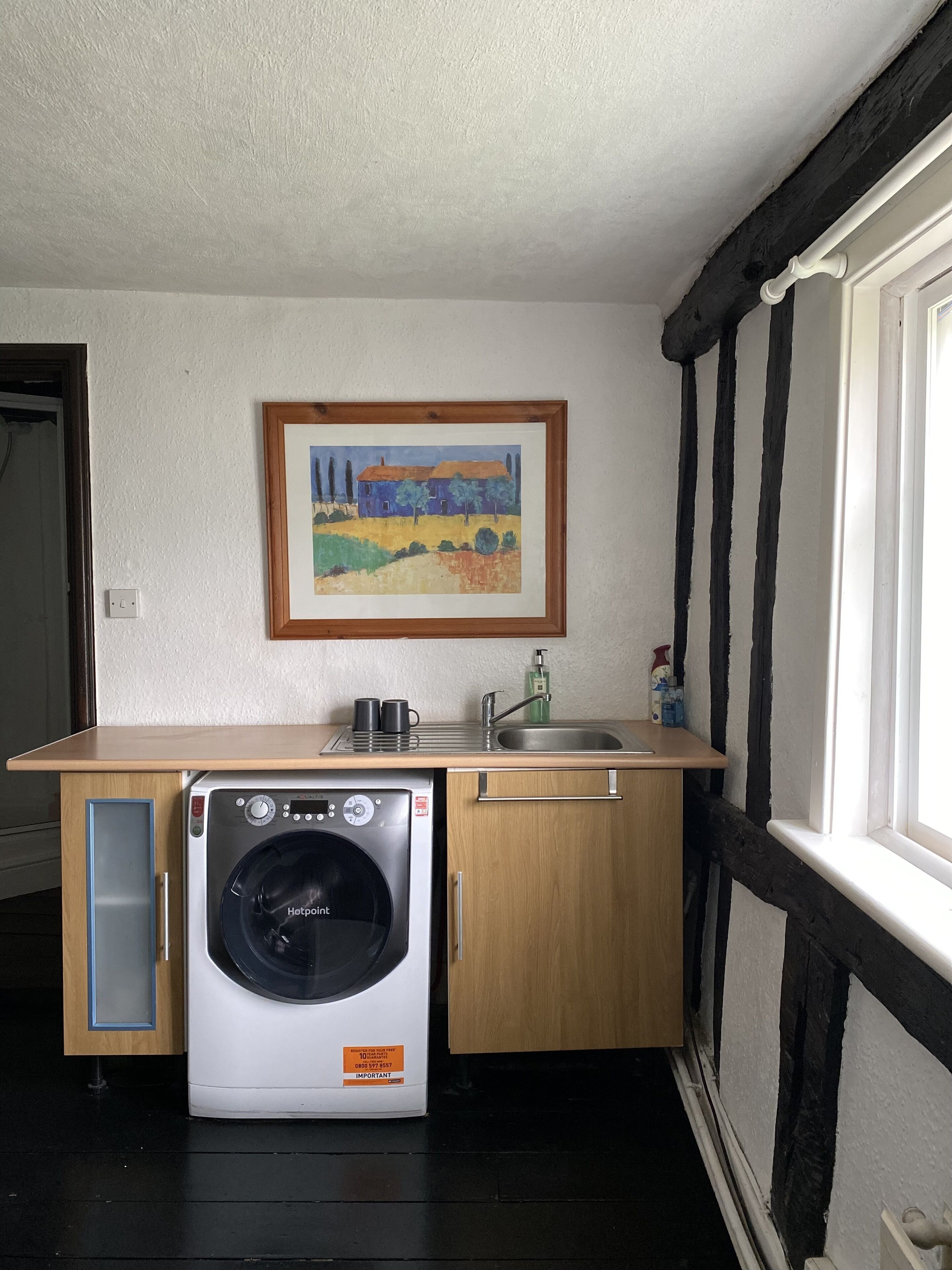 Une petite cuisine équipée d’un lave-linge, d’un évier et d’un tableau encadré accroché au mur.