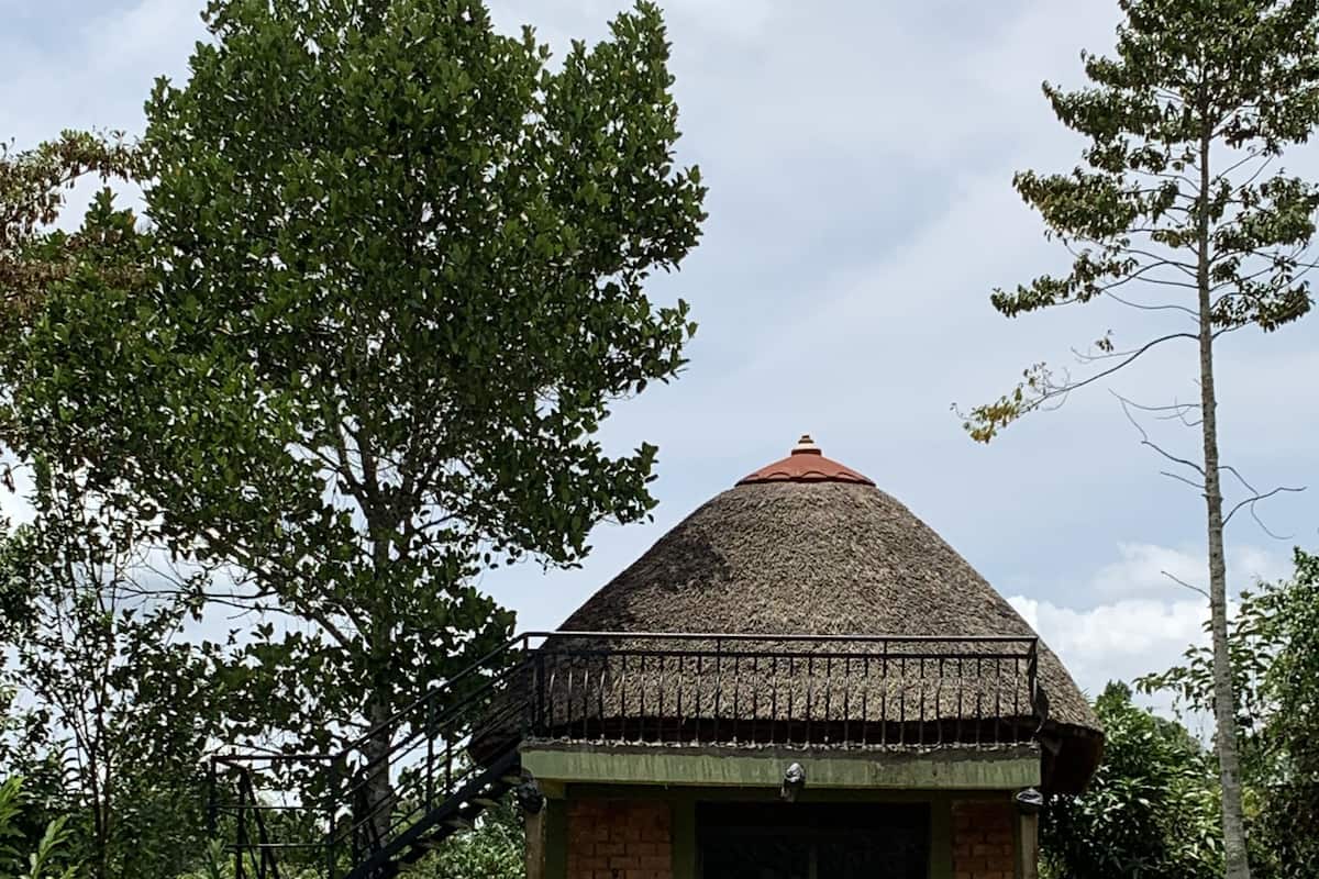A small, rustic building with a thatched roof, surrounded by lush greenery and trees.