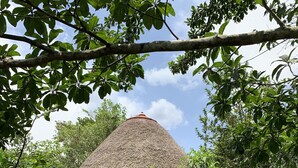 A rustic house with a thatched roof, surrounded by lush greenery and trees. - Mpanga Nature Center  (Mpigi)