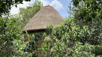 Ngoại thất