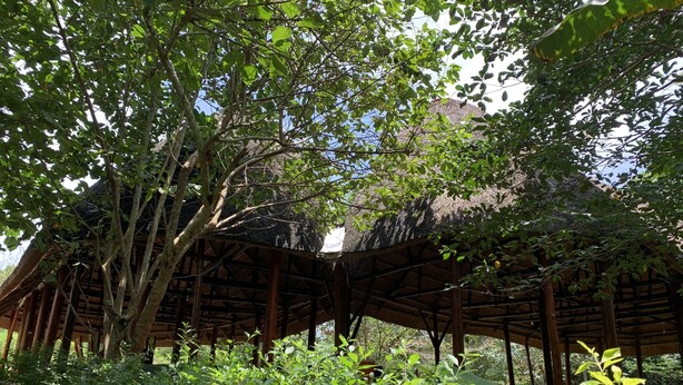 A wooden structure with a thatched roof surrounded by dense greenery. - Mpanga Nature Center  (Mpigi)