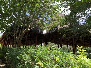 A wooden structure with a thatched roof surrounded by dense greenery.