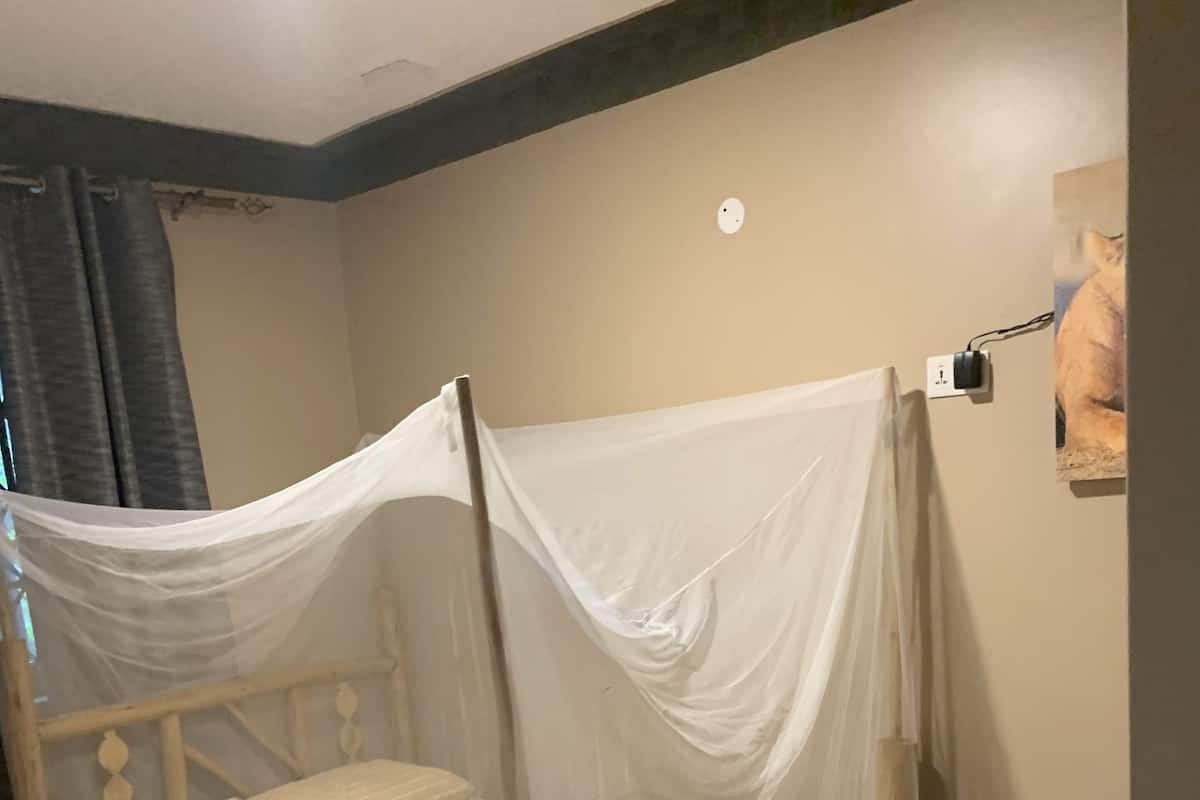 A single bed with a wooden frame and a mosquito net.