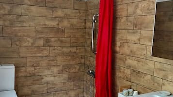 Shower, hair dryer, soap, toilet paper