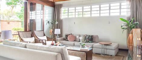 TV connectée, cheminée, livres, médiathèque