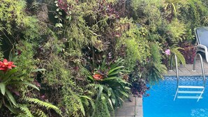 A poolside area with a variety of plants and a pool.